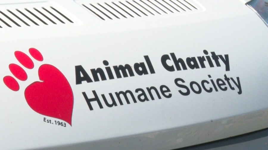 Animal Charity of Ohio looking for books to read to animals