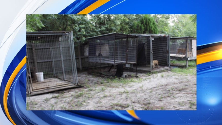 Fla. man gets 7 years for dog fighting; feds urge reporting