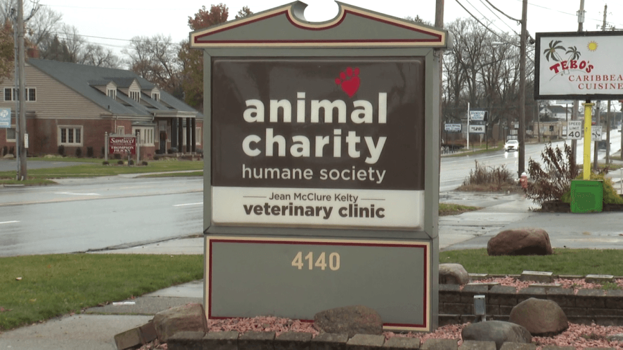 Humane agents find 56 cats in Boardman home