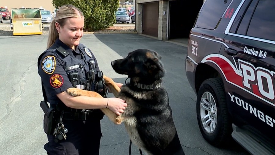 YSU police department welcomes new K-9 officer