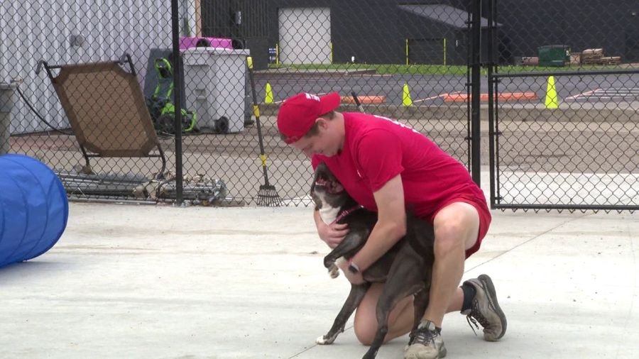 Influencer ‘adopts' local rescue dog for awareness