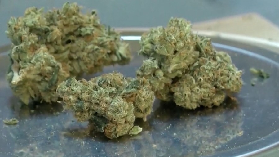 Warren council opposes marijuana law changes