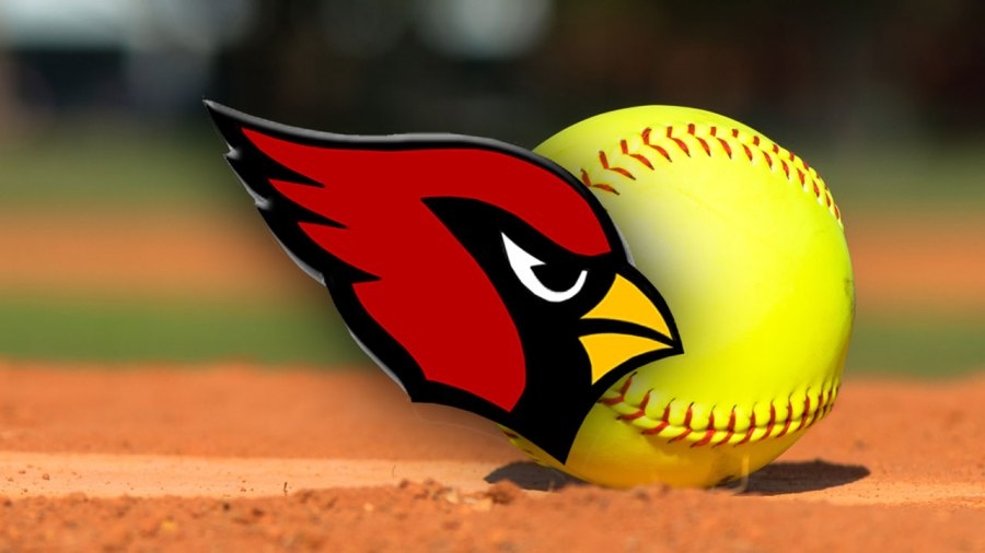Ortiz lifts Canfield by Ursuline