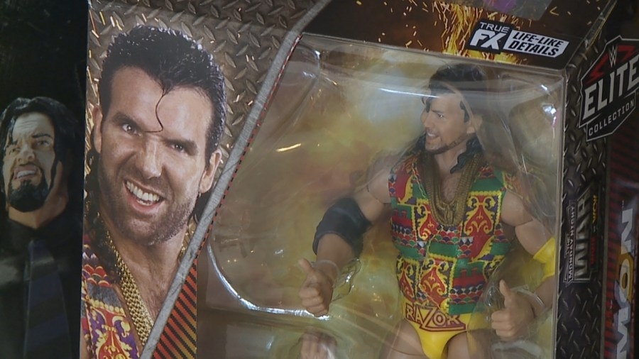 Comic, action figure sale raises money for Angels for Animals
