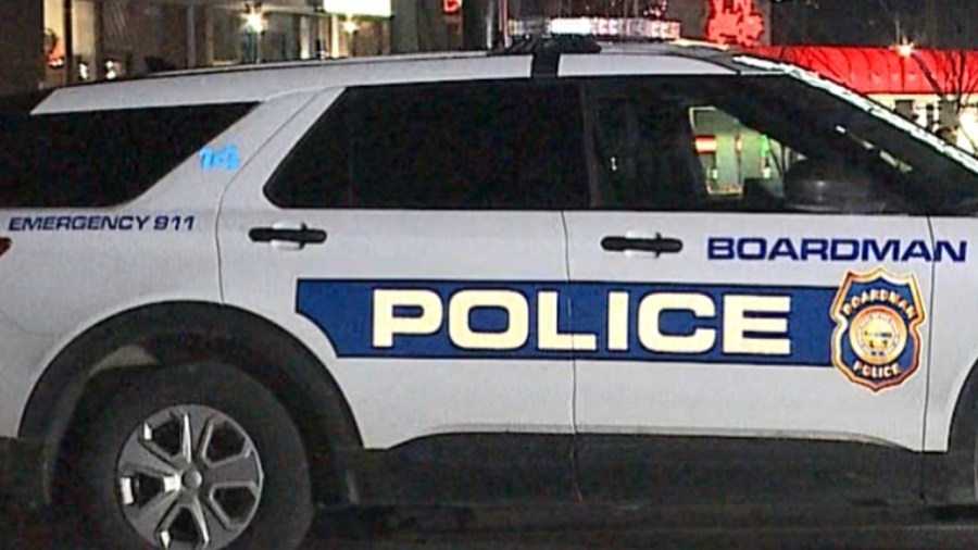 Woman consumes drug evidence during traffic stop: Report