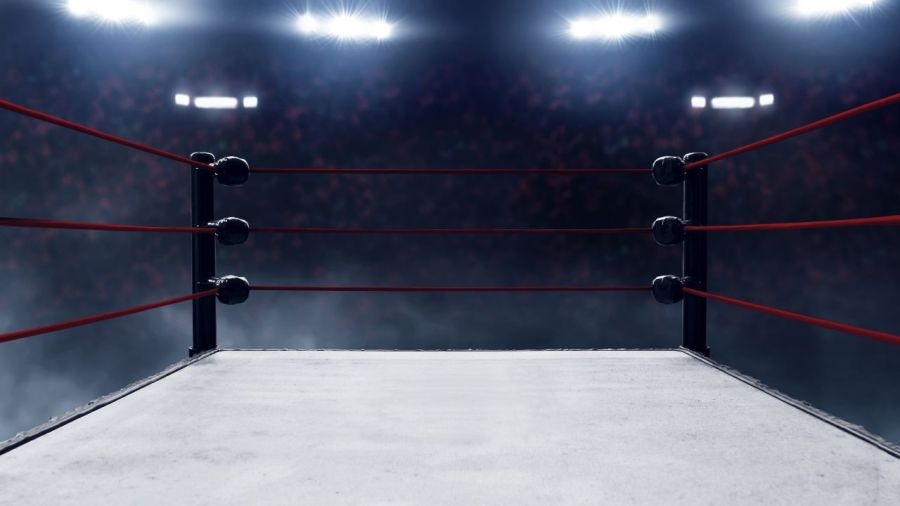 Former WWE professional wrestlers appearing at 2 local live wrestling shows