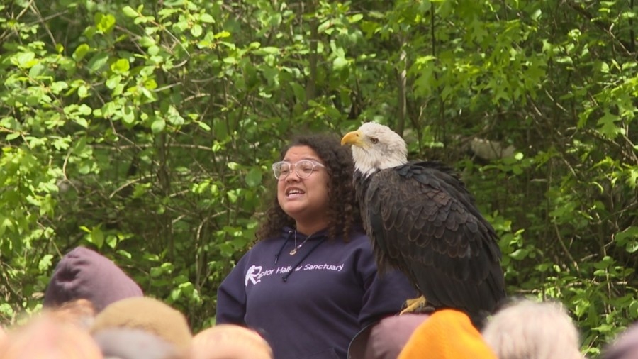 Locals gather for Big Birding Weekend at Mosquito Lake