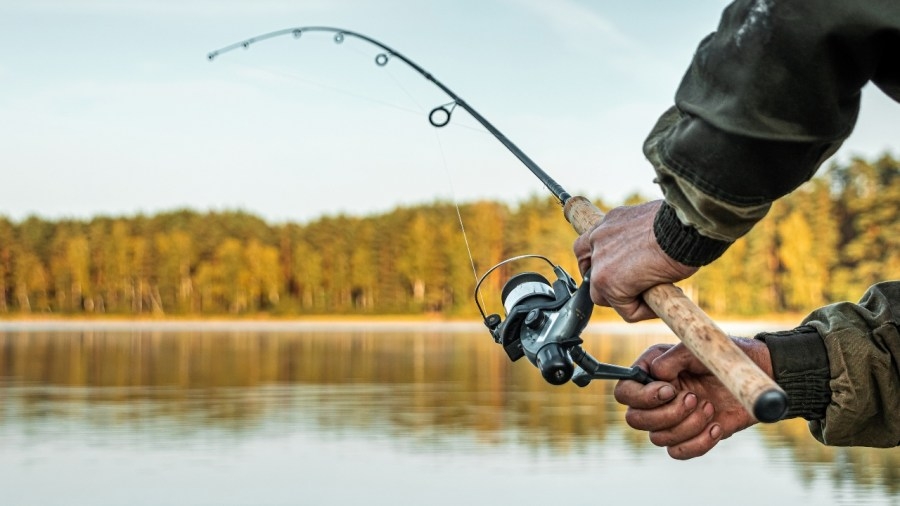 Looking for a lake to fish with Dad? Ohio has you covered