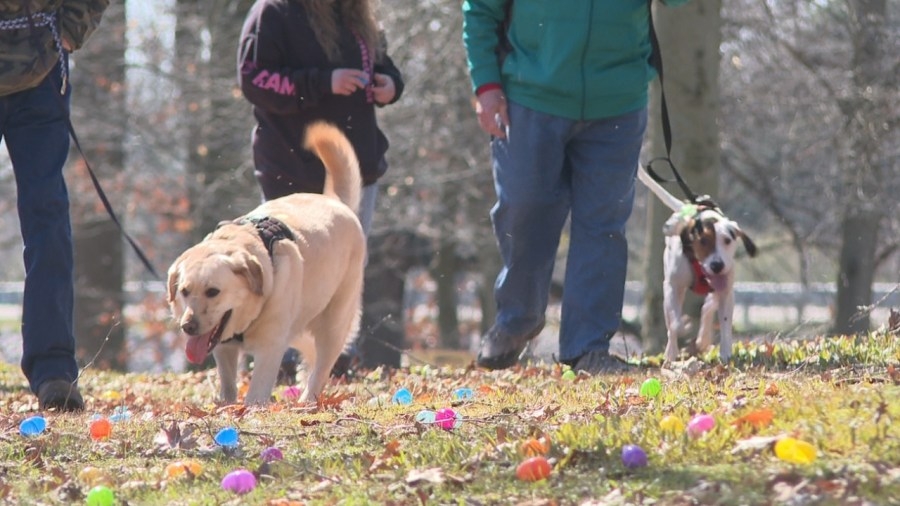 Local dog park hosts Easter egg hunt for pups