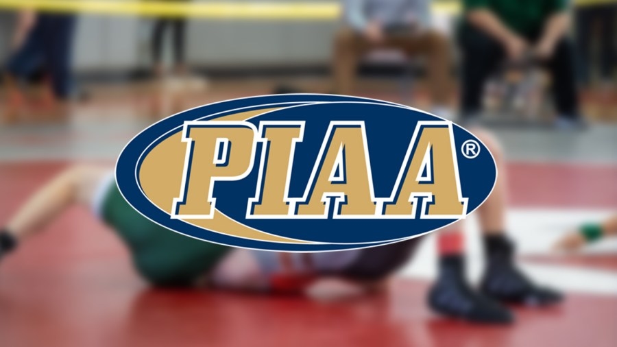 Six local athletes medal at PIAA Wrestling Championships