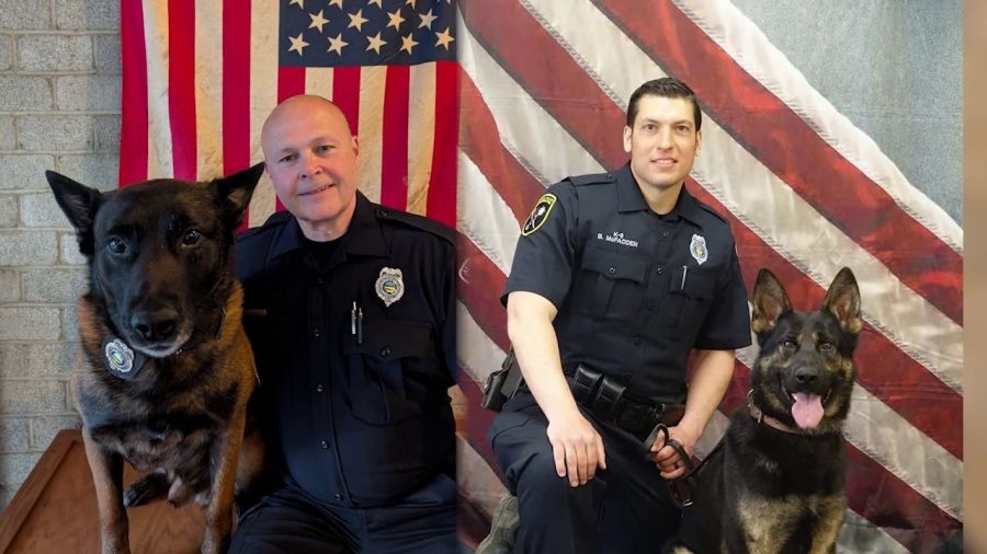 Austintown trustees vote to nix K-9 program