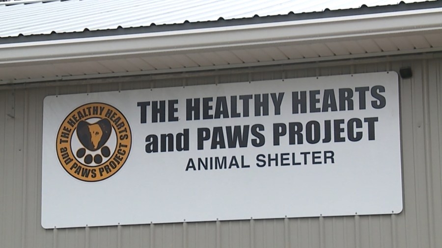 Bowling fundraiser to benefit Healthy Hearts and Paws Project