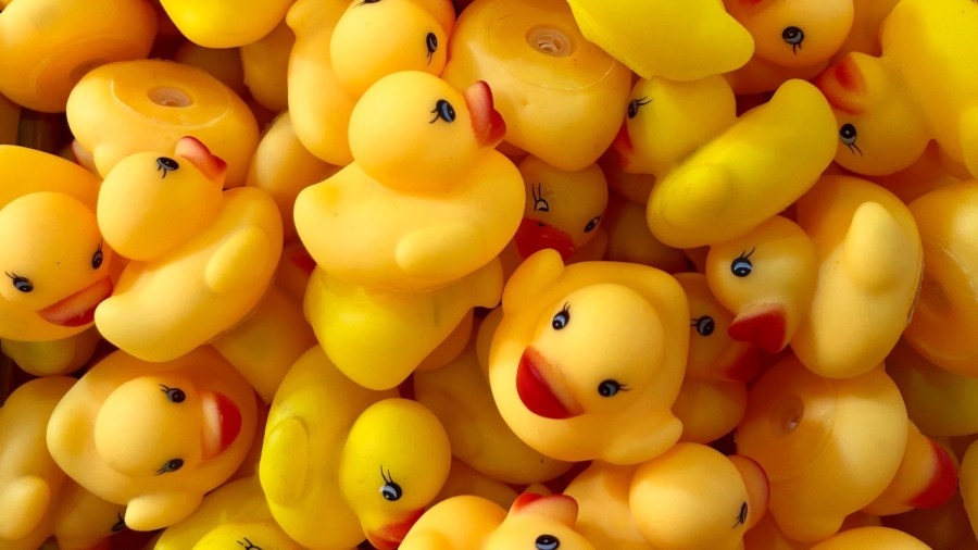 Warren hosting 1st River Duck Festival this weekend
