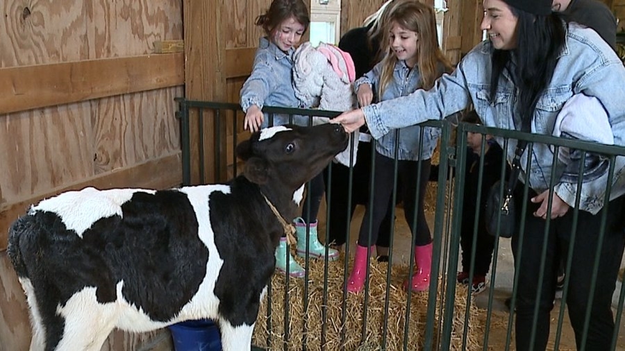 Mill Creek MetroParks hosts baby shower for farm animals