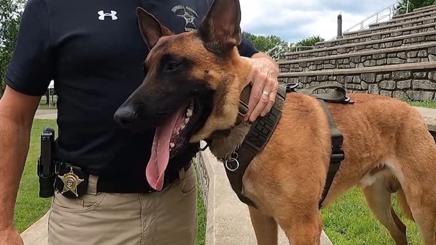 Trumbull County Sheriff's Office training 2 new K9 officers