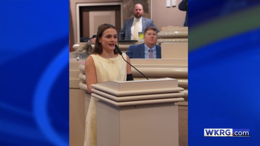 Lulu's Law: Alabama House passes shark alert system
