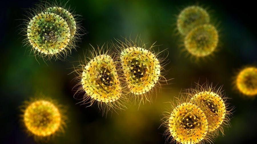 Health officer confirms case of Neisseria meningitidis in Mobile County