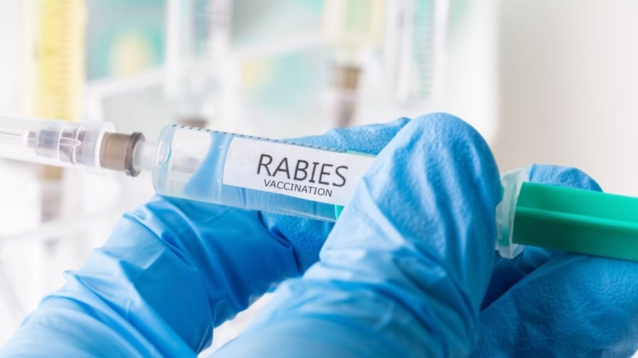 Mobile County Health Department sets March rabies clinics