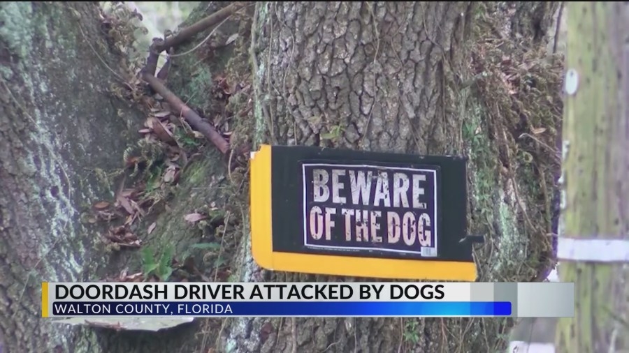DoorDash driver mauled by 2 dogs in DeFuniak Springs