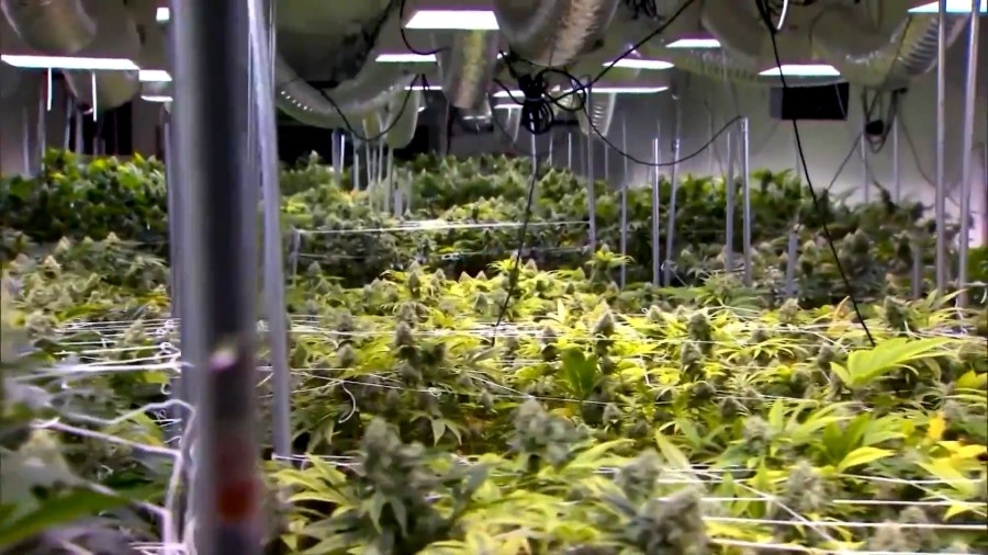 Families file lawsuit against Alabama Medical Cannabis Commission for not creating a patient registry