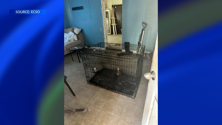 Pensacola man charged in dog fighting case