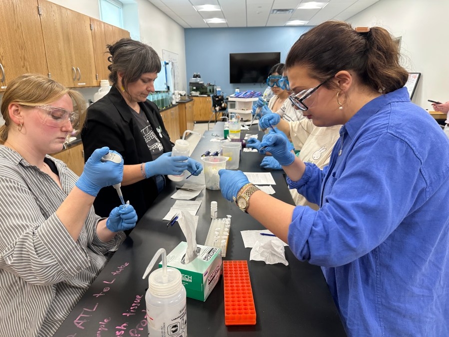 Alabama School of Math and Science students research ocean acidification's effect on local oysters