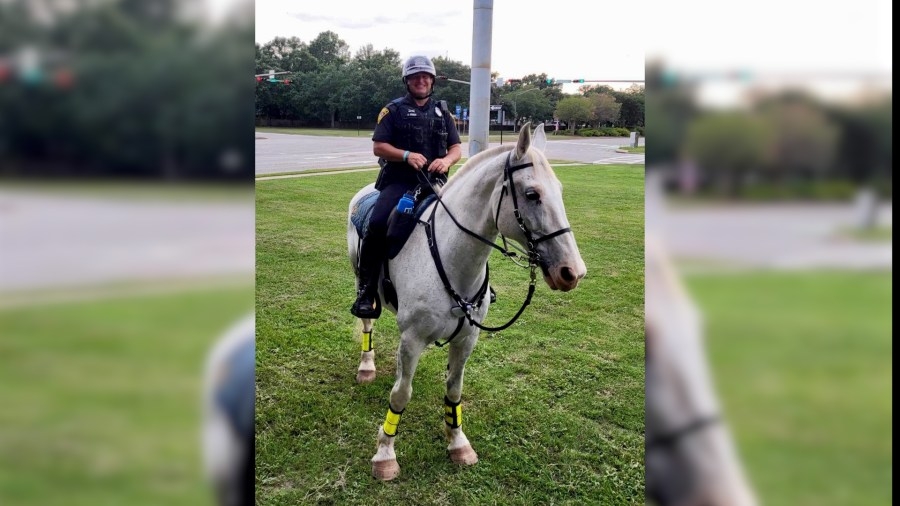 Mobile police horse retires after 8 years of service