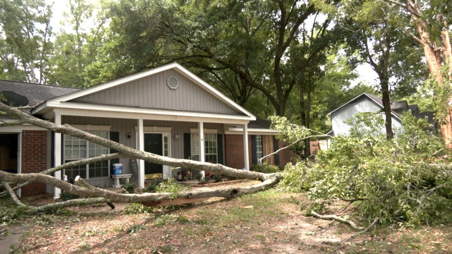 Theodore family shocked after lightning strike leads to surprise discovery