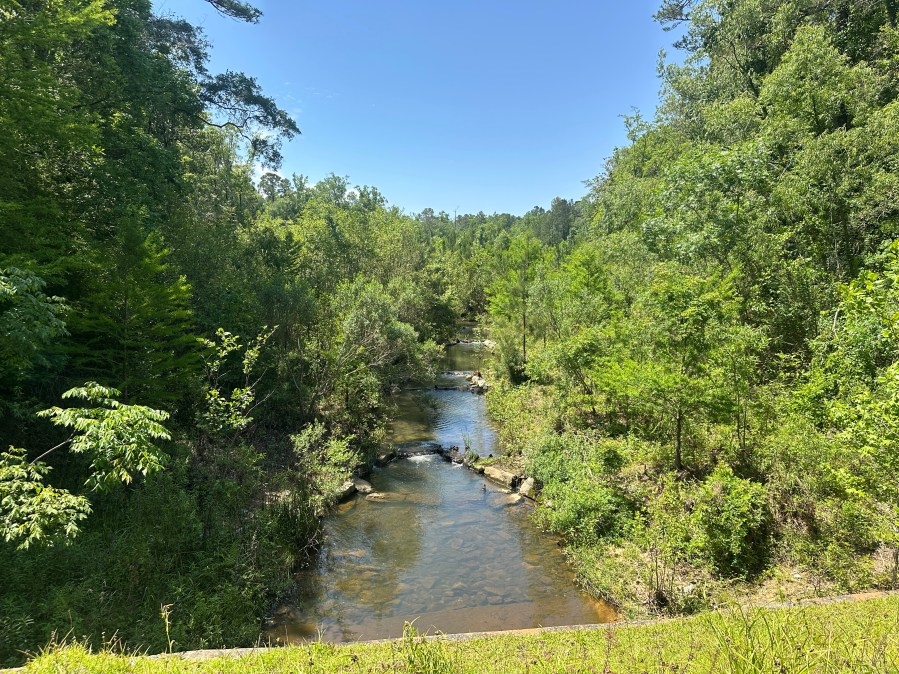 Natural storm water infrastructure protects people and local ecosystems