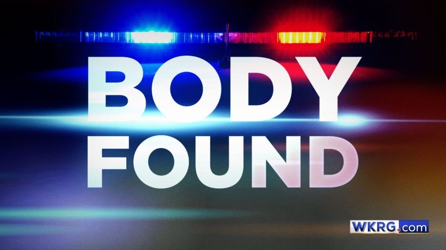 Body found at Mobile motel