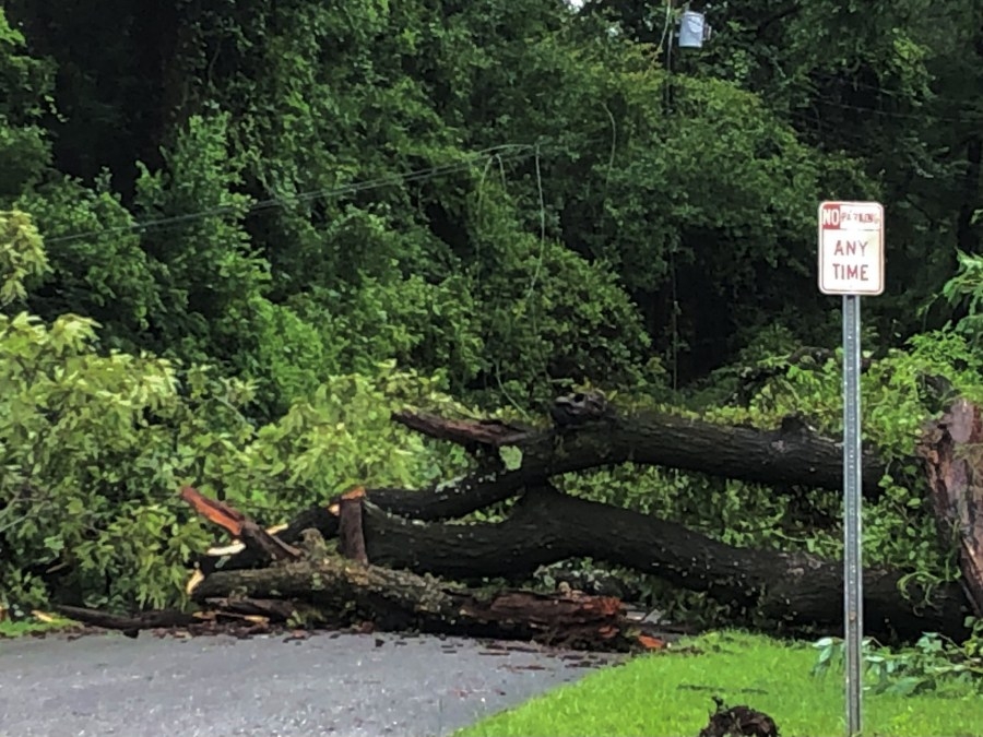 Fairhope and Daphne hit by 80 mph winds as surprise storm downs trees across Baldwin County