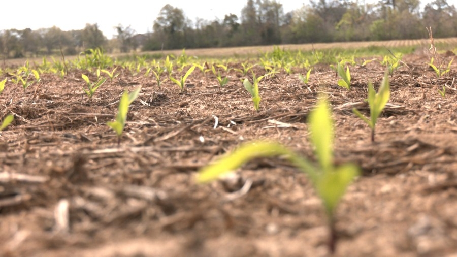 Fairhope farmers impacted by LFPA federal funding cuts
