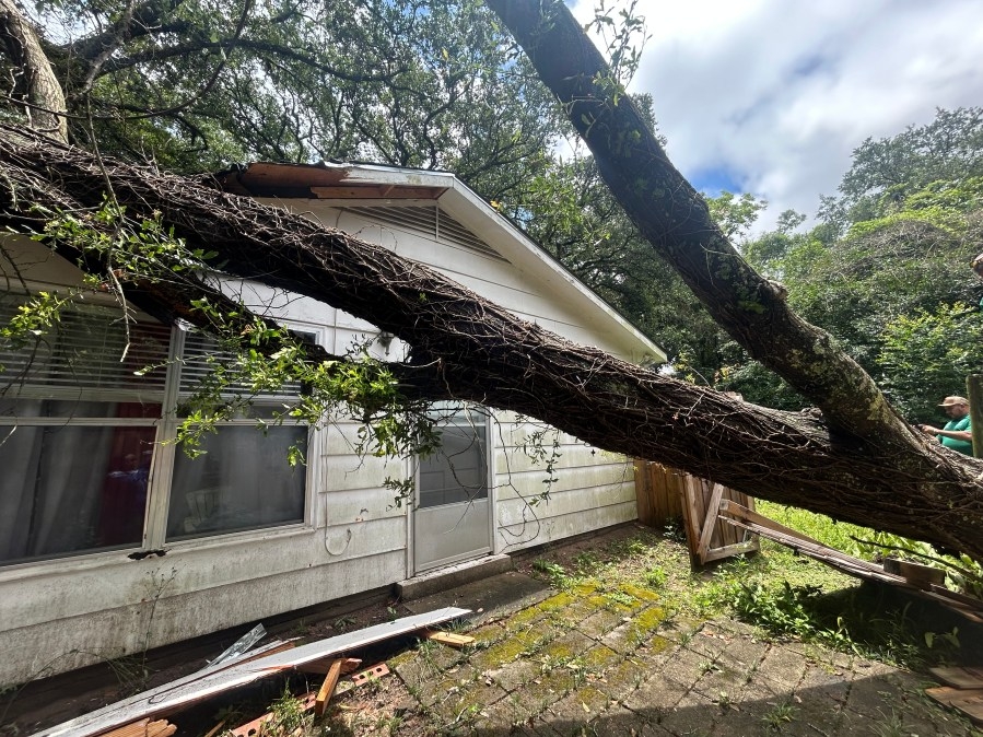 Trees on homes, storm damage in West Mobile