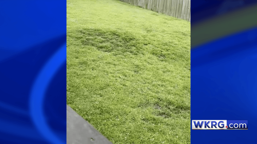 Summer hail in Spanish Fort caught on camera