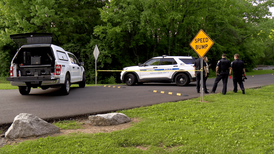 Taking steps to improve park safety after 2 Madison park shootings in 1 month