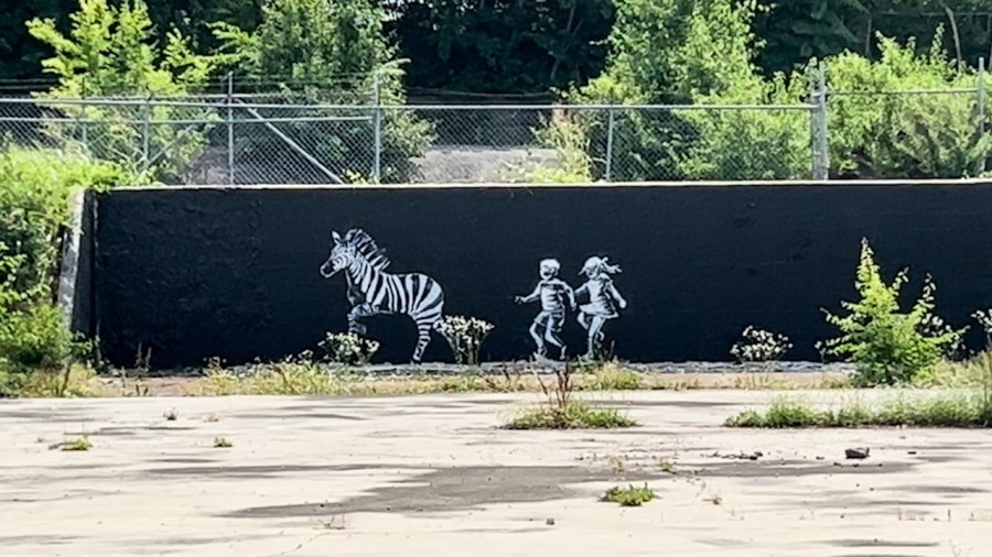 ‘Ed the Zebra' mural painted in Nashville