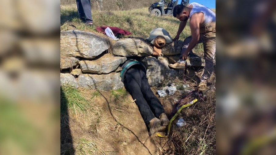 Dog rescued from storm drain in Thompson's Station