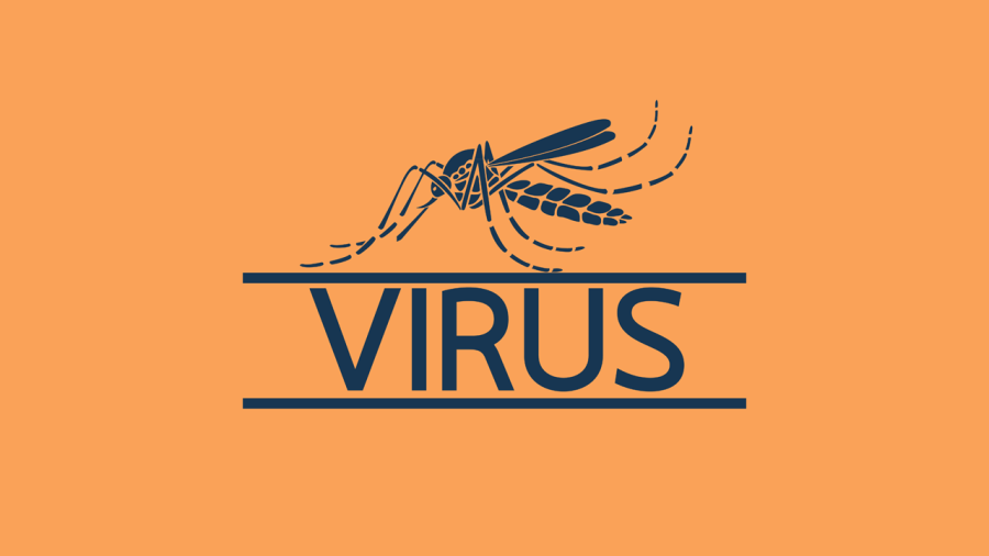 West Nile Virus detected in Davidson County for the first time in 2025