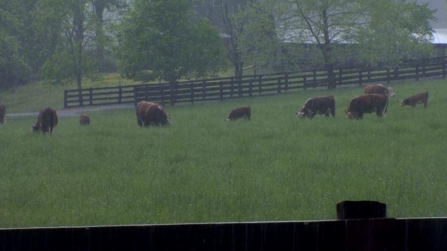 Williamson County agriculture from Gov. Bill Lee's family farm