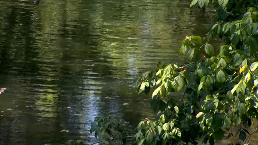 Staying safe on Tennessee rivers as outdoor recreation ramps up