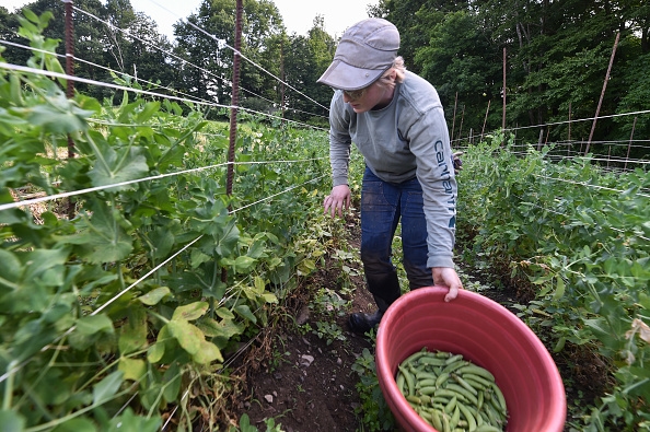 Thousands join online homesteading group in Middle Tennessee