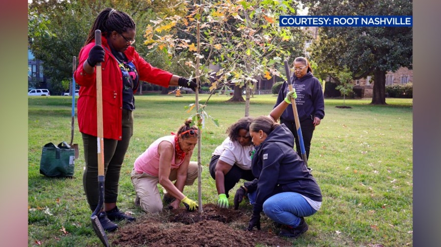 Nashville tree campaign working to plant 500K trees by 2050