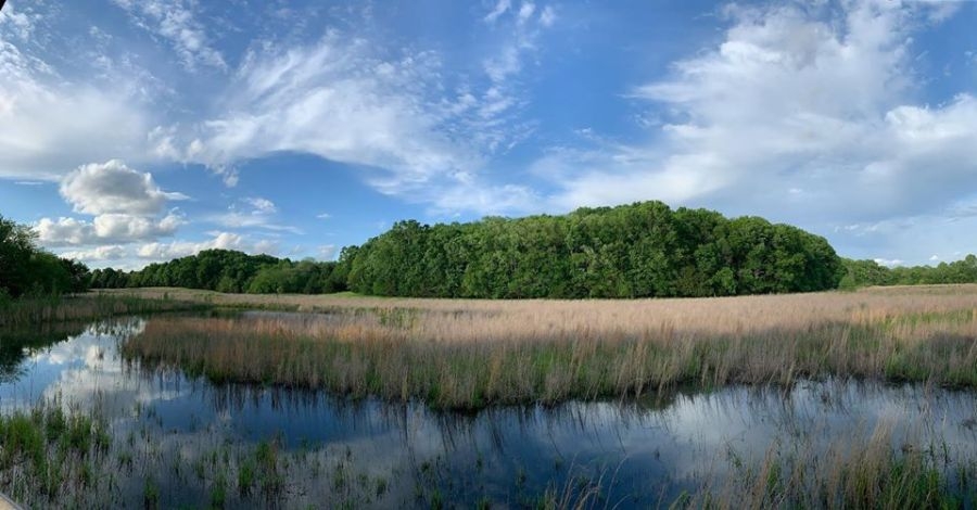 Bill would roll back state-level protections of wetlands in favor of developers