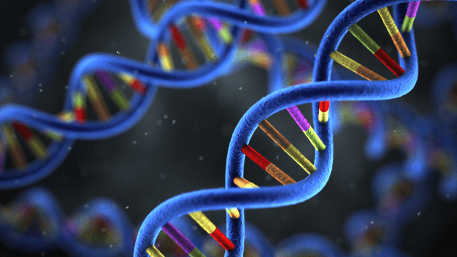Attorney General Jonathan Skrmetti reminds Tennesseans of their right to delete genetic data amid 23AndMe bankruptcy filing