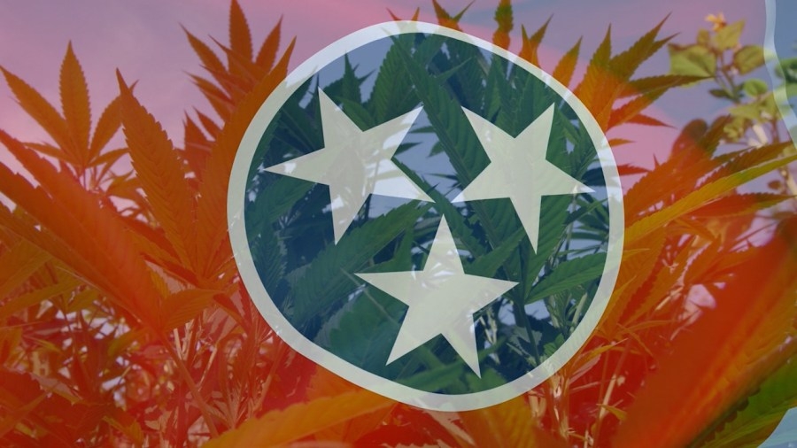 TN House passes amended bill to regulate hemp industry, ban hemp flower in state
