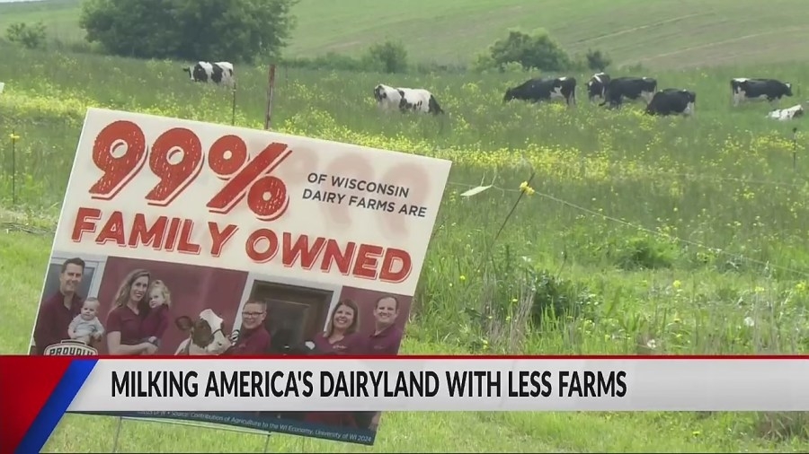 While Wisconsin sees a decline in dairy farms, Chippewa Valley production is up