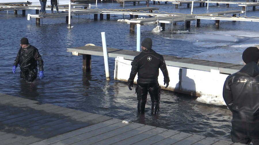 'It was cold! But it was for a good cause,': Hundreds of brave Michiganders plunge into cold water for Special Olympics Michigan