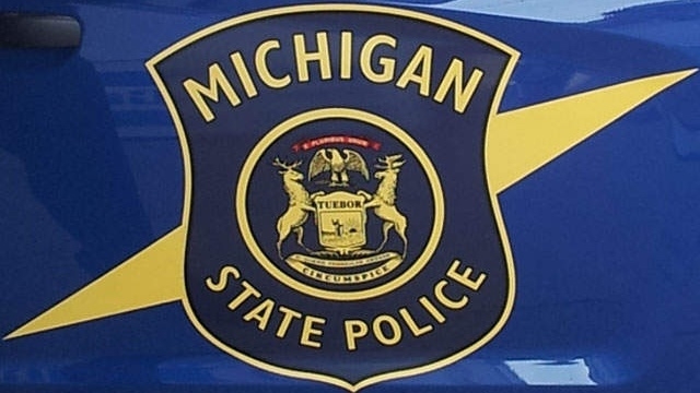 Man hospitalized after buggy hit-and-run crash in Sanilac County