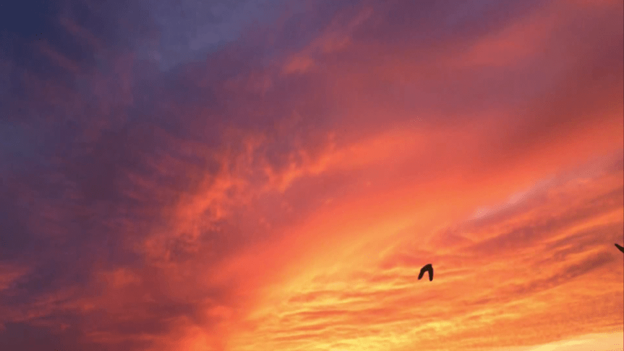 Weather Wednesday: Why are we gaining daylight?