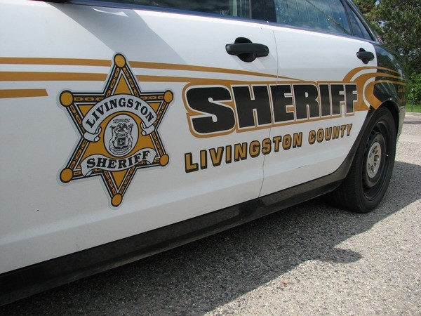 Livingston County child predator suspects handed over to ICE, sheriff says